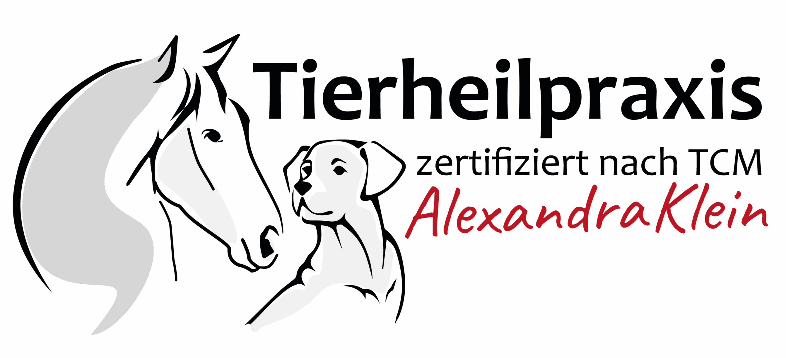 tierheilpraxis-tcm.de
