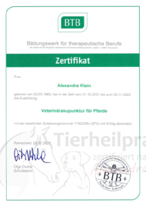 Zertifikat Akupunktur